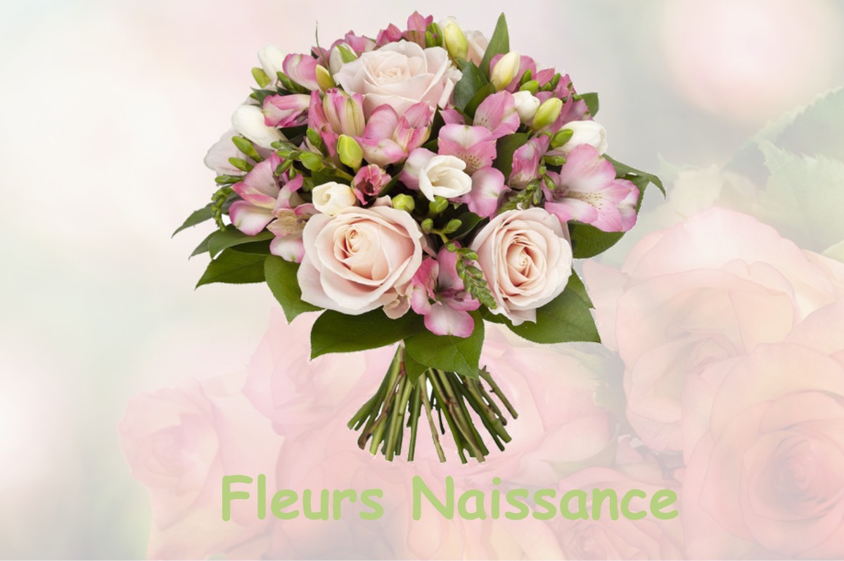 fleurs naissance CASTAGNAC